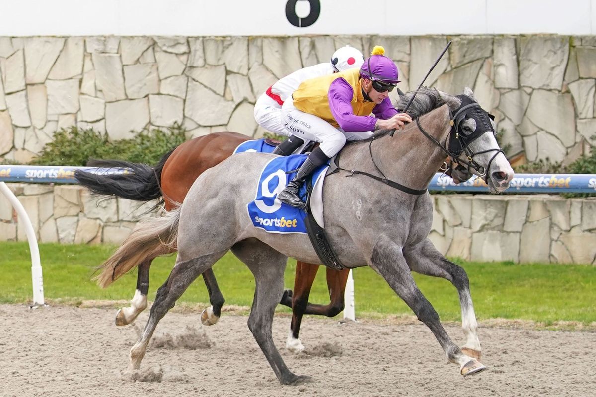 Bifrost wins Australian debut