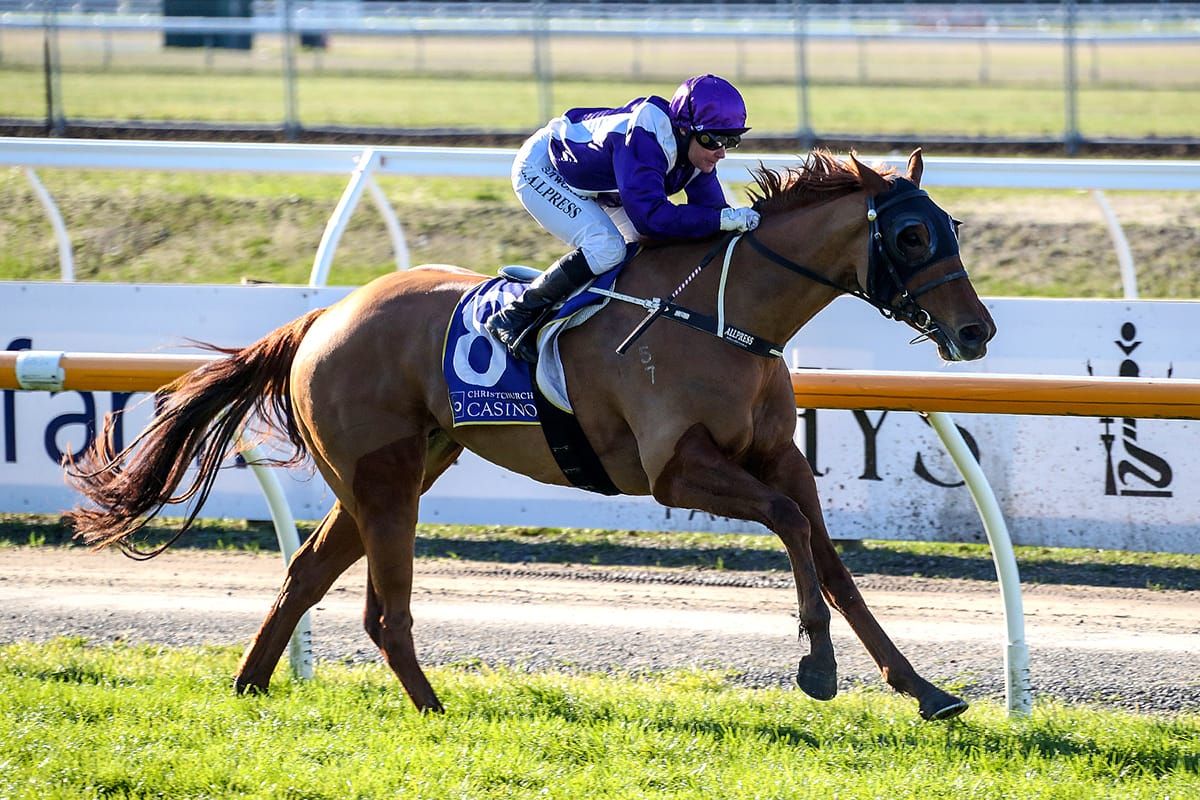 Beckett buzzing about Chilly Filly