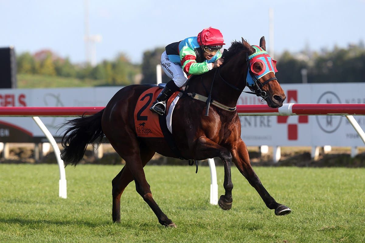 Walker crystal-clear on Te Rapa opportunity