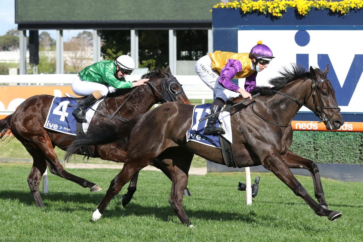 Elephant makes hefty impact at Caulfield