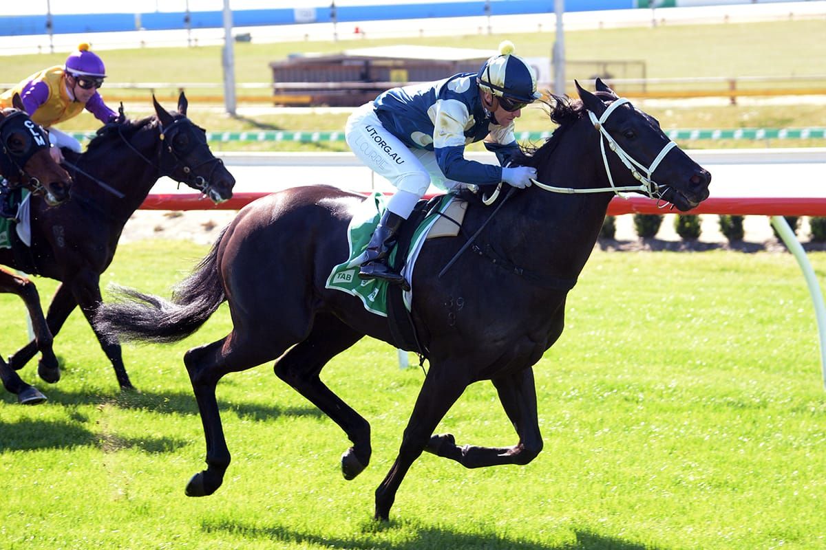 Footlights impressive on debut