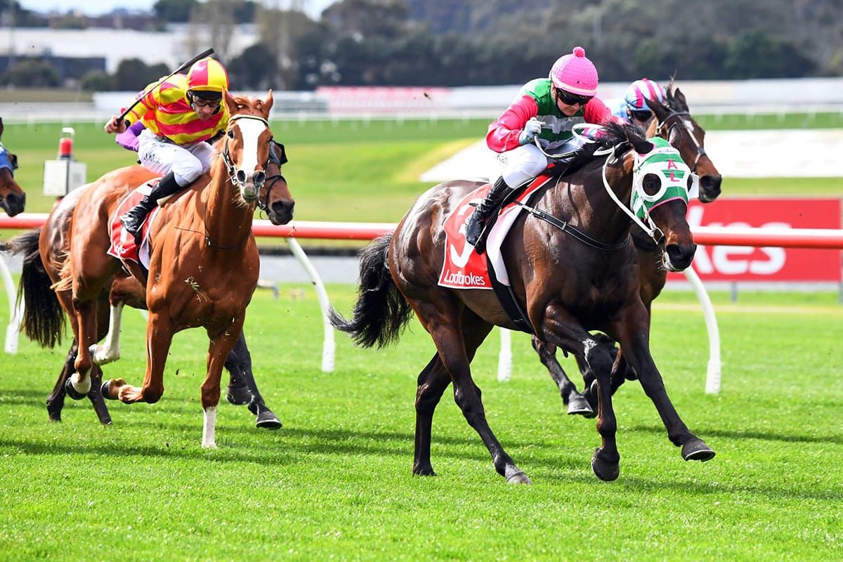 Cup winner’s brother lands Sandown prize