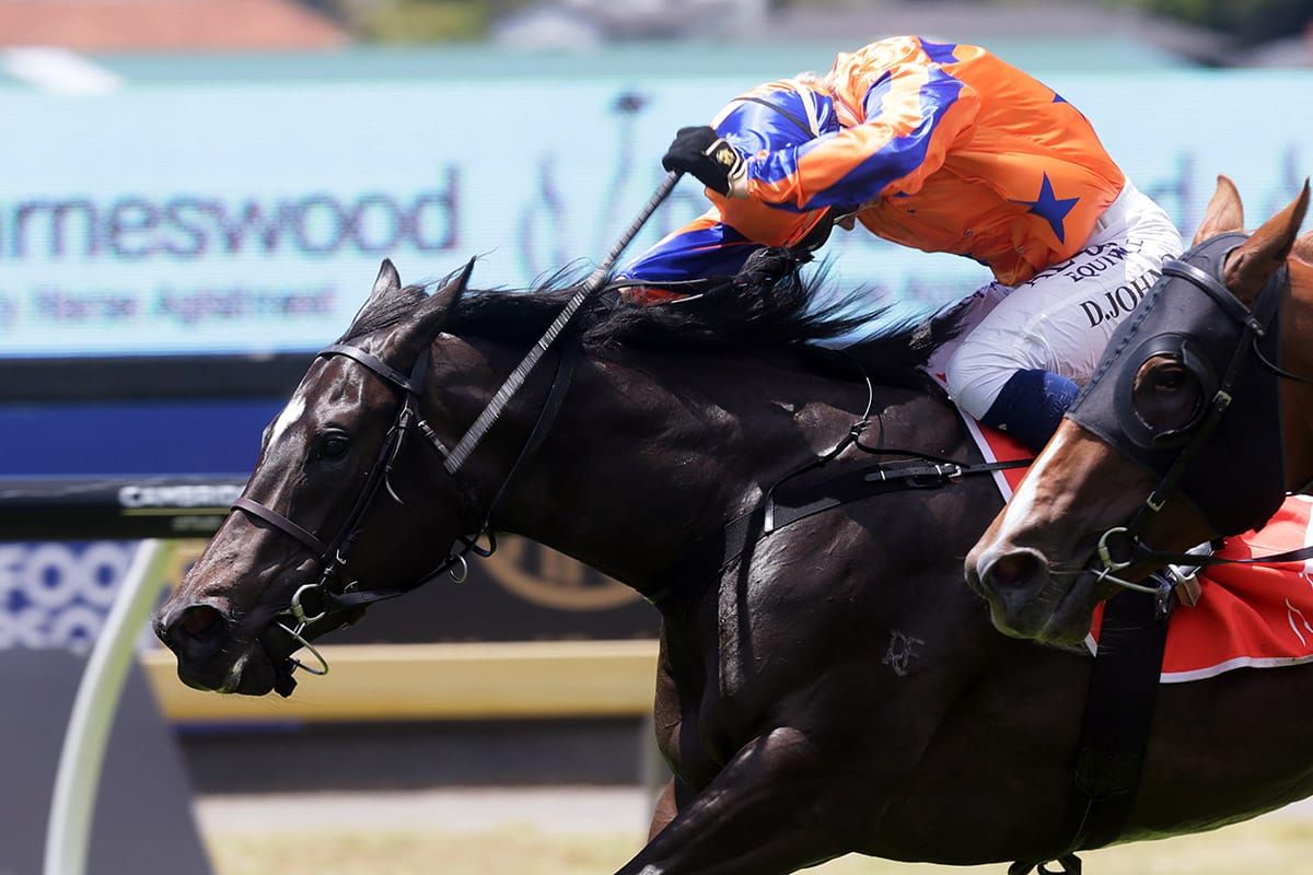 Golden spring path for Imperatriz