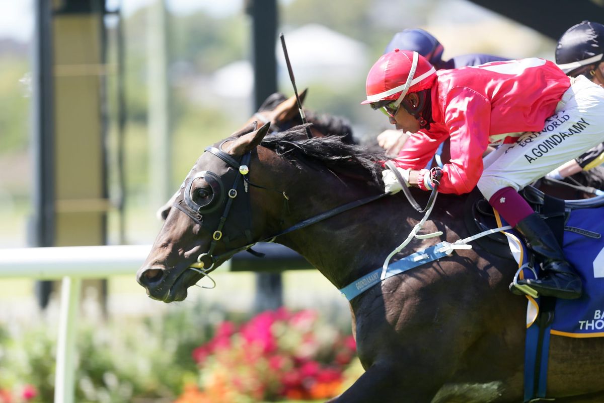 Home targets for Justacanta