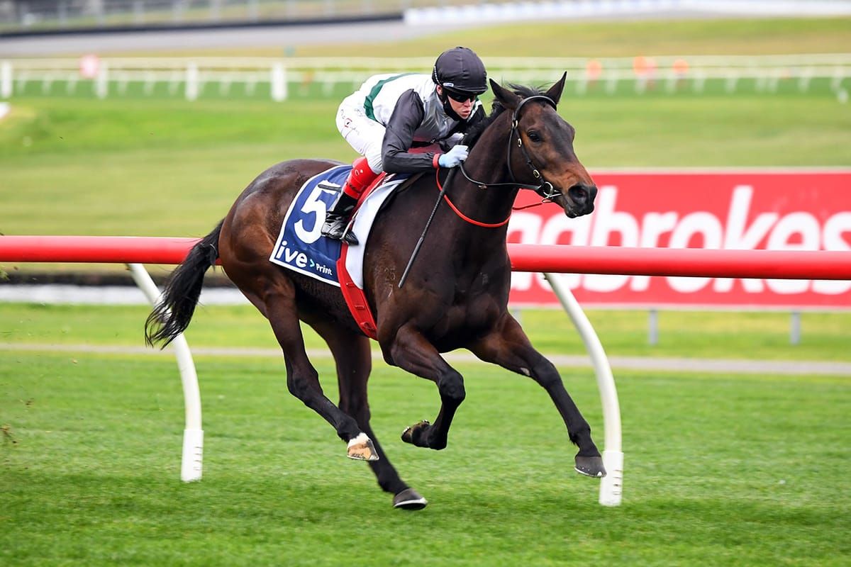 Plenty of Upside for Mr Brightside