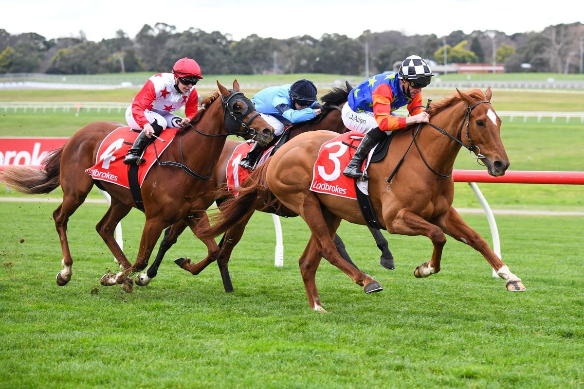 Proisir gelding too good at Sandown