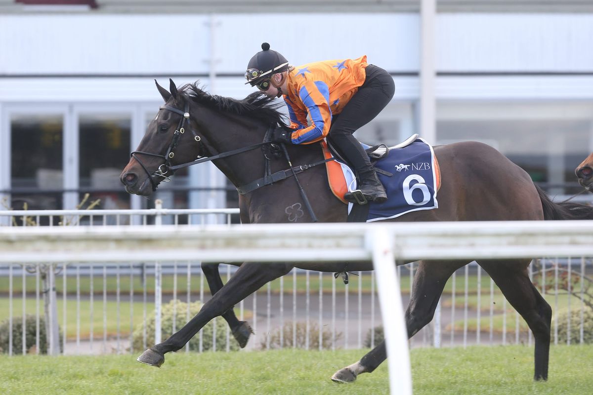 Hastings first-up for On The Bubbles