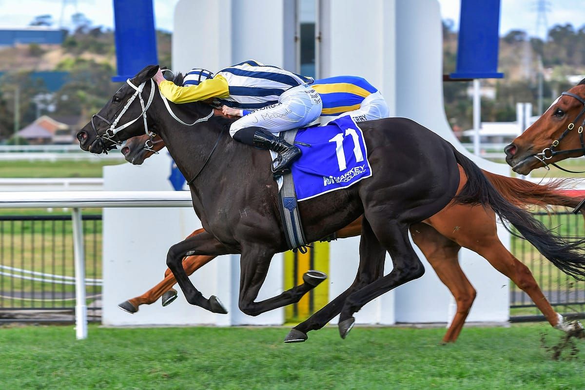 Our Intrigue heads all Kiwi quinella at Kembla Grange