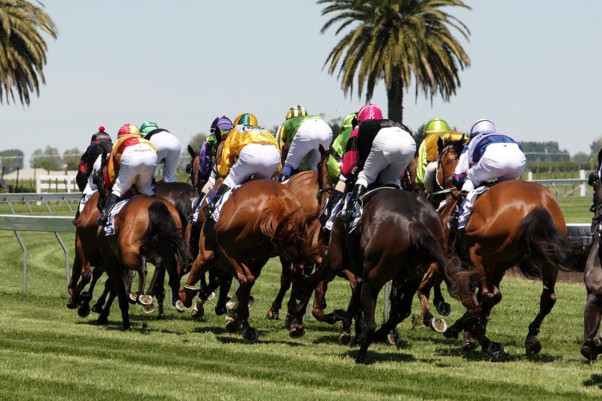 TAB bookies holding their breath ahead of afternoon announcement
