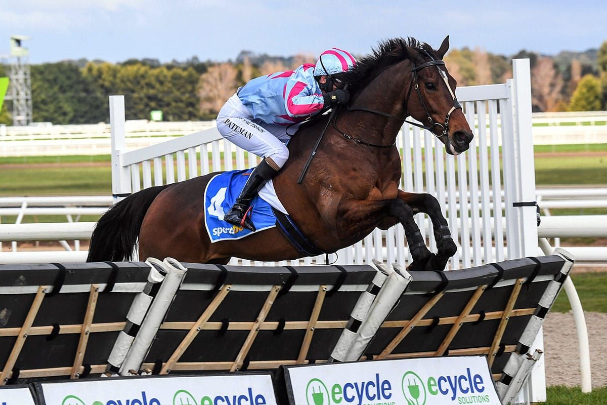 New Zealand-bred jumpers raise the bar at Ballarat