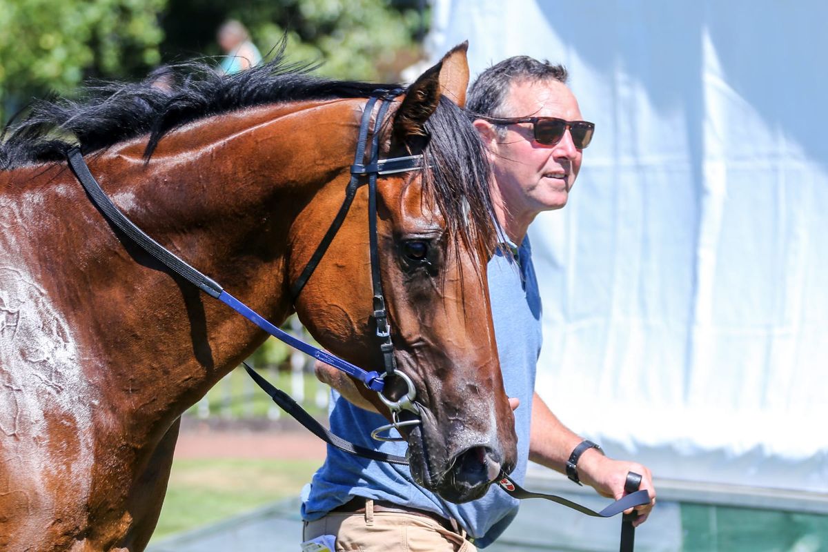 Sea Shepherd making galloping look easy