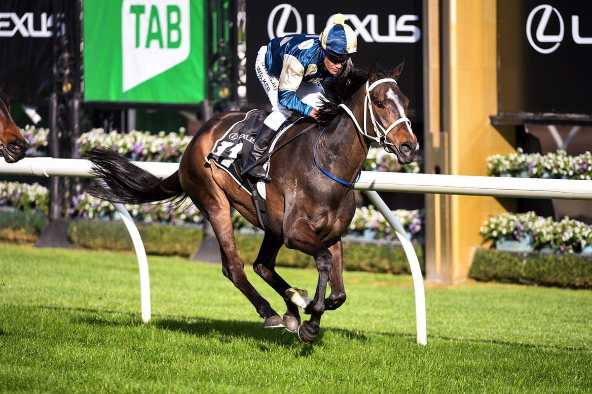 Mildura Cup winner to contest P B Lawrence Stakes