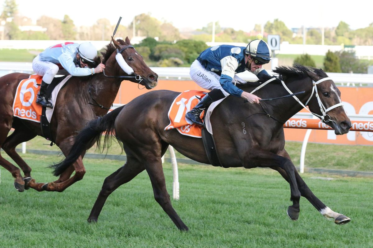 Memsie next for Sierra Sue