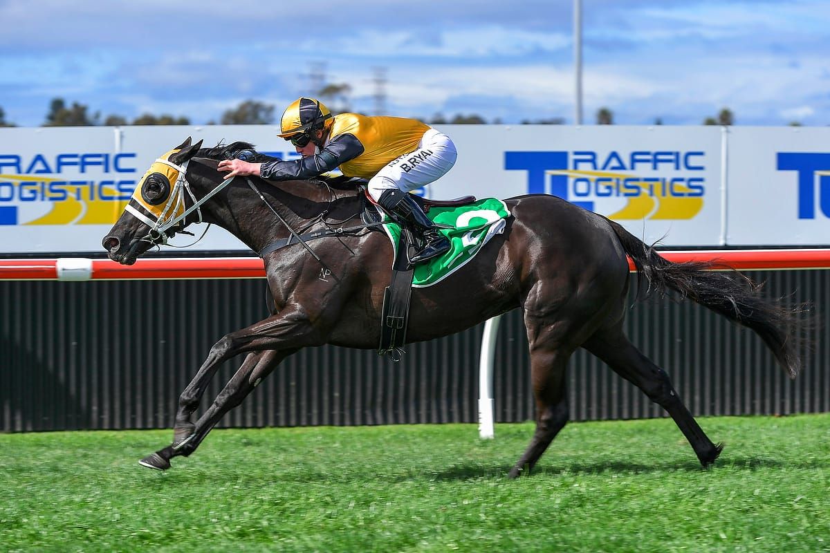 Signora Nera returns in electric fashion