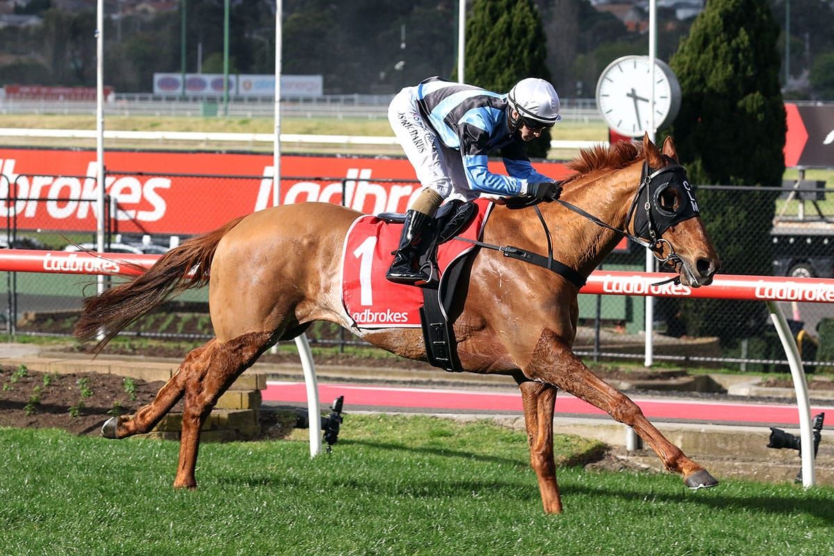 Romans smokes his rivals at The Valley