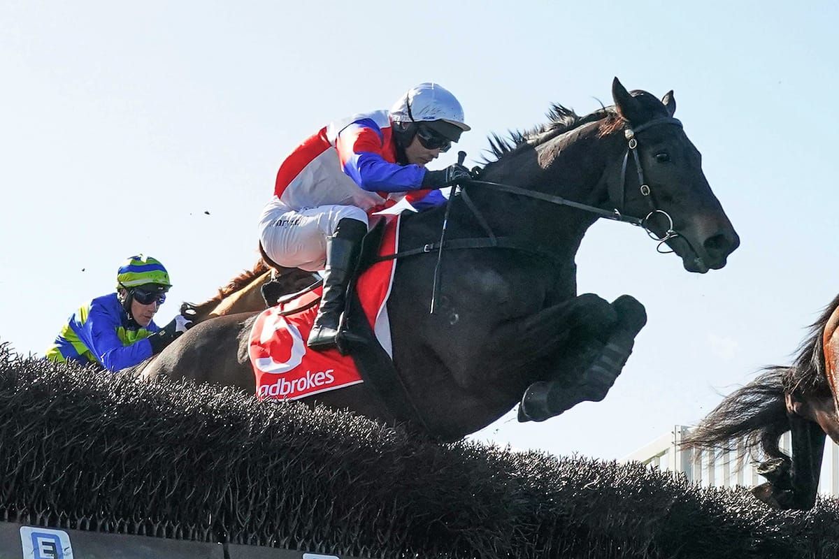 Kiwi jumper in his element ahead of Grand National