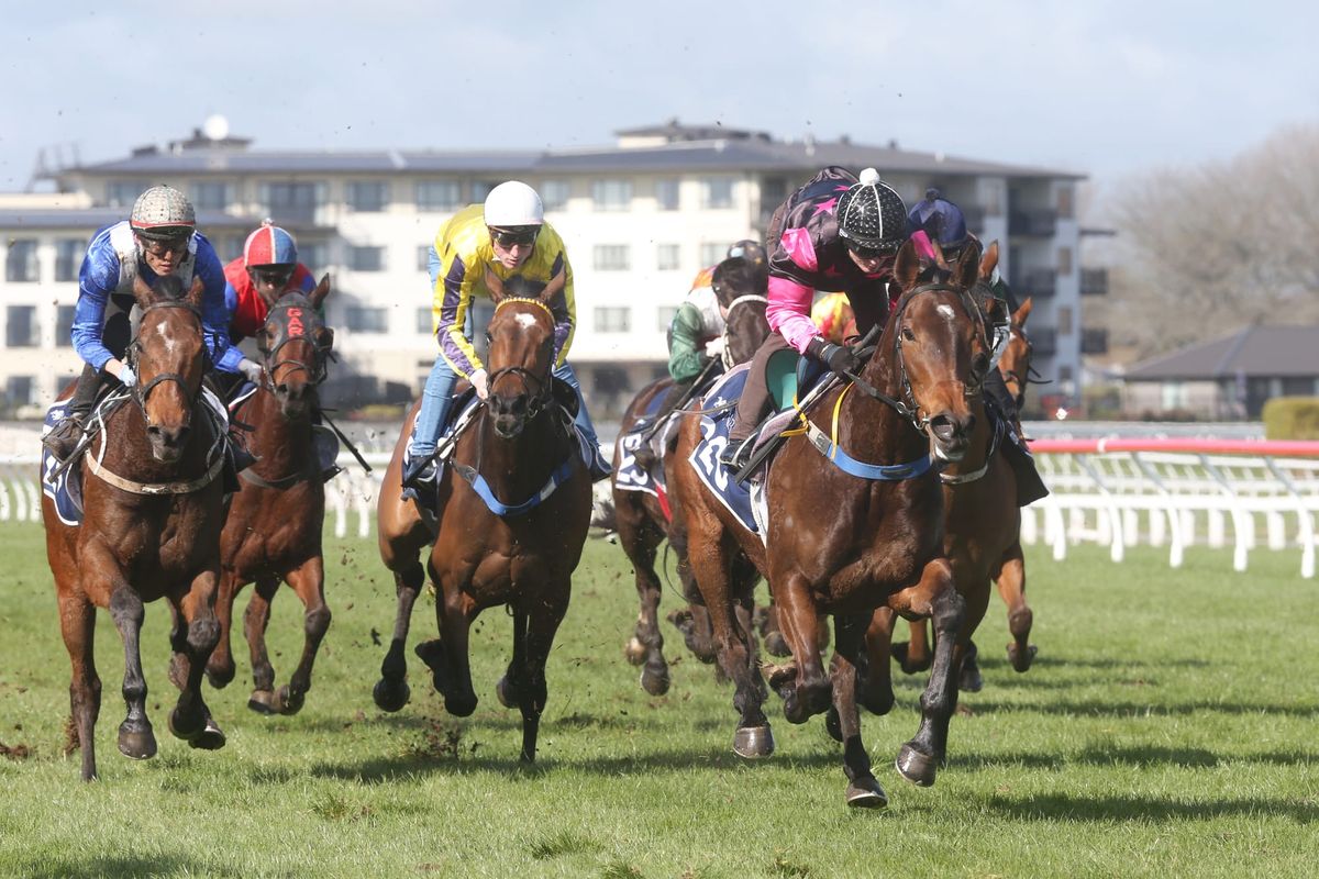 Supreme Heights sought for talented mare