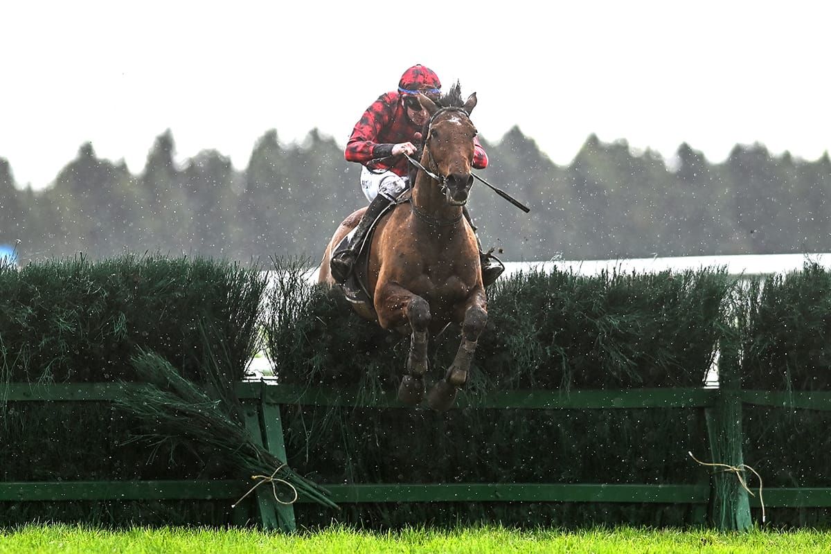 Champion jumper salutes in Grand National Steeplechase