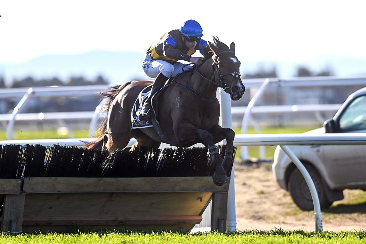 The Cossack, simply the best – Paul Nelson