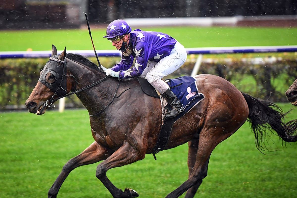 Cups tilt possible for The Good Fight