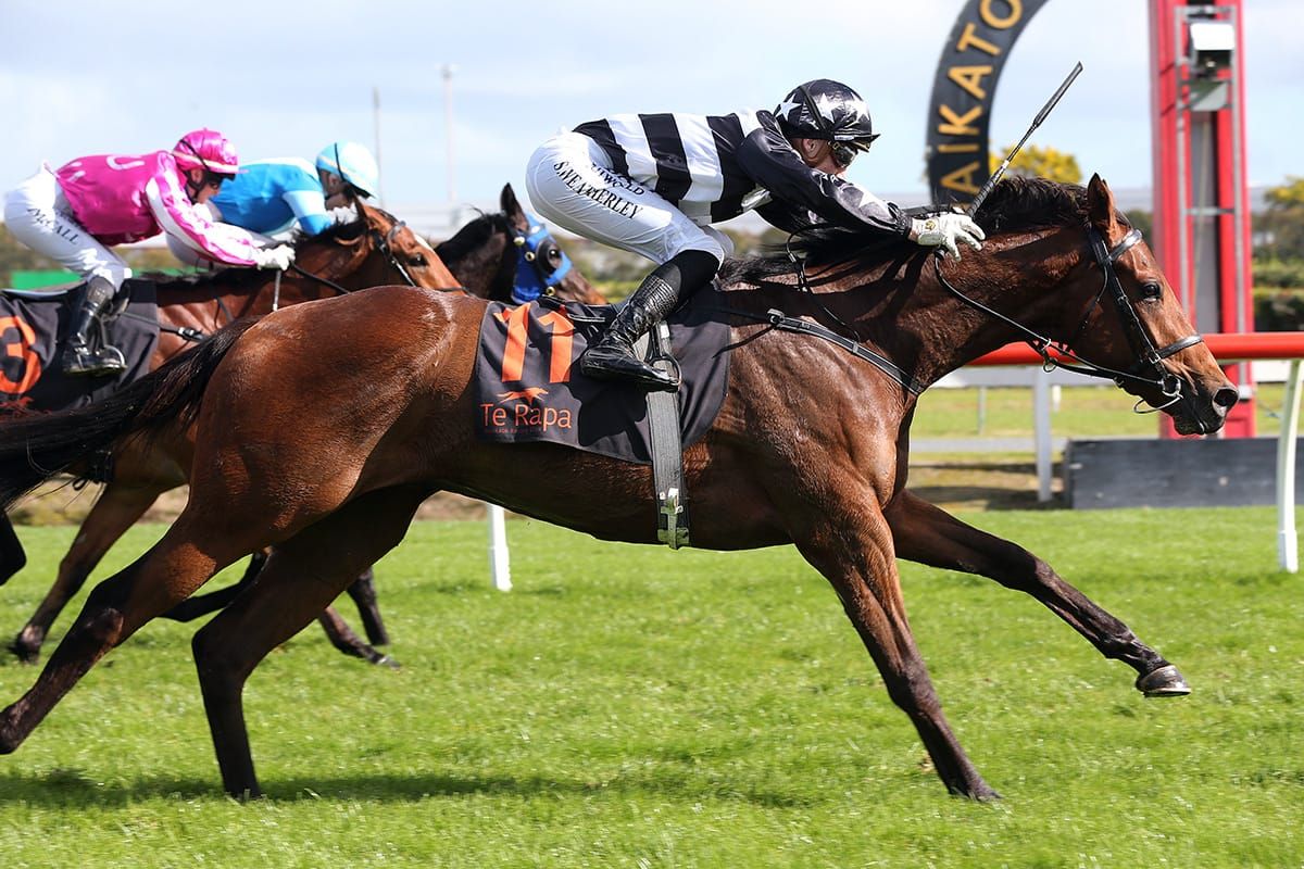 Wanganui Guineas next target for impressive Te Rapa winner