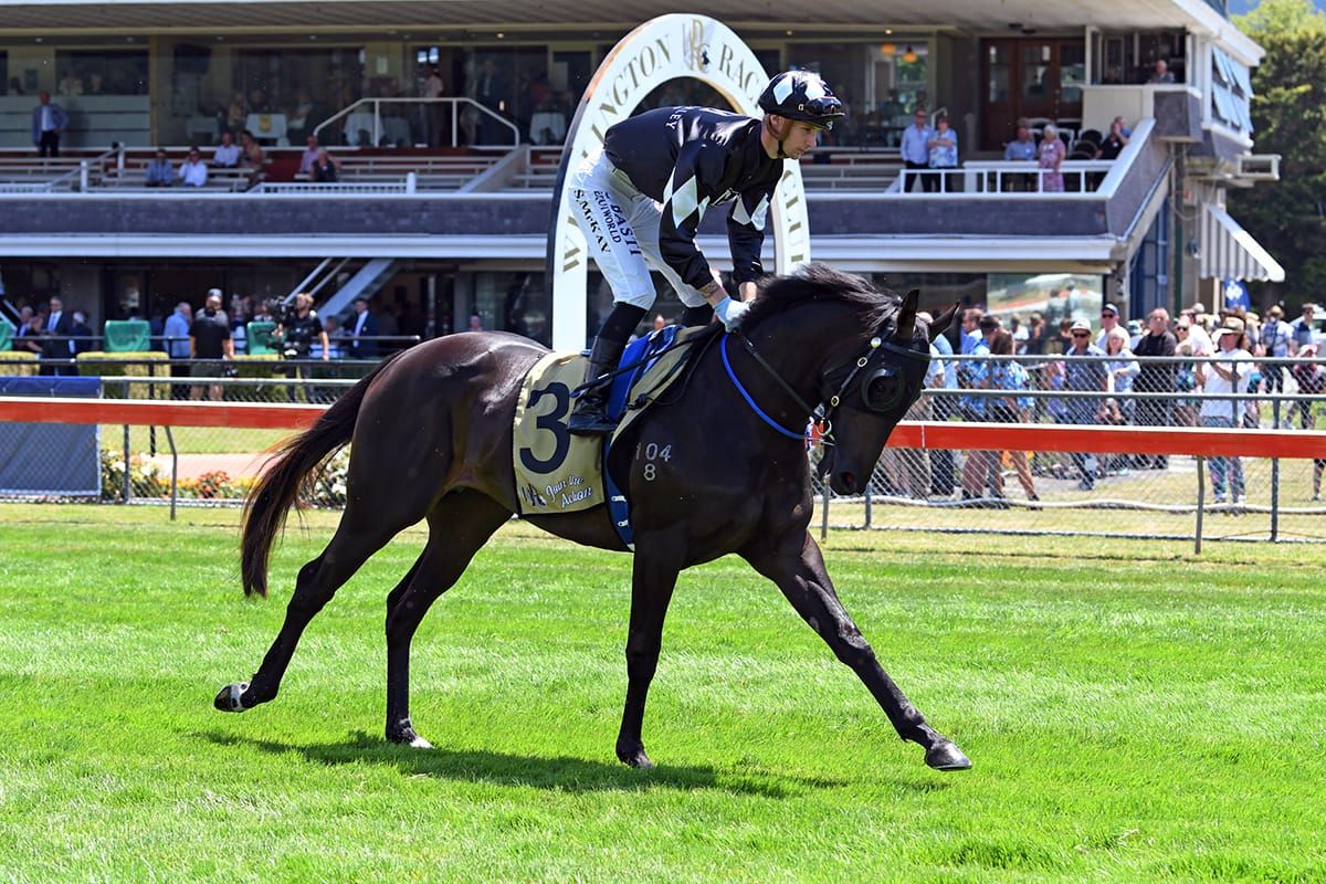 Classic ambitions for Wolfgang