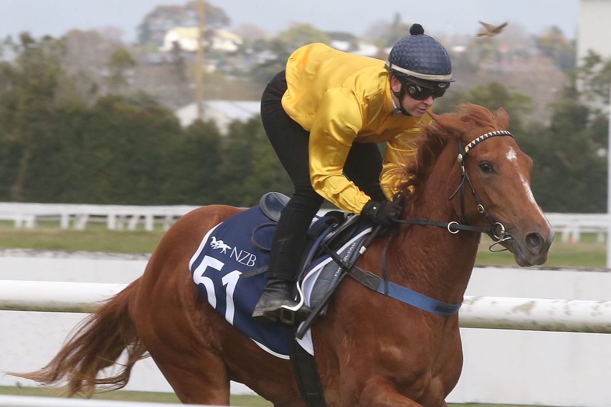 Bridget Grylls back in NZ