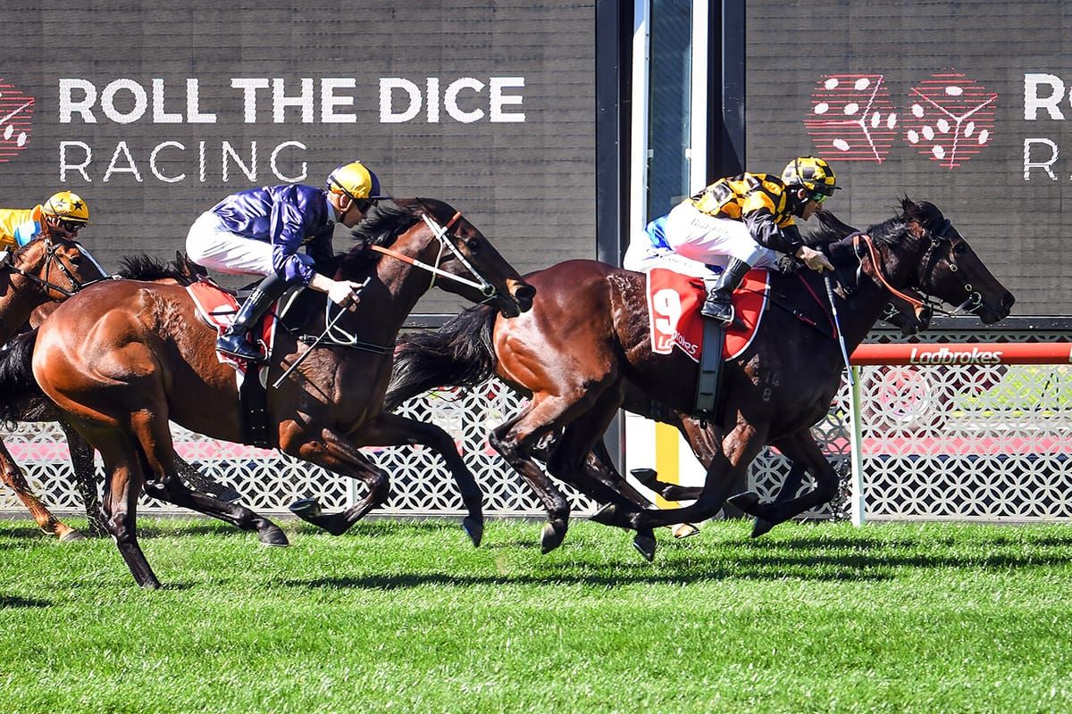 Zouzarella shows Guineas credentials