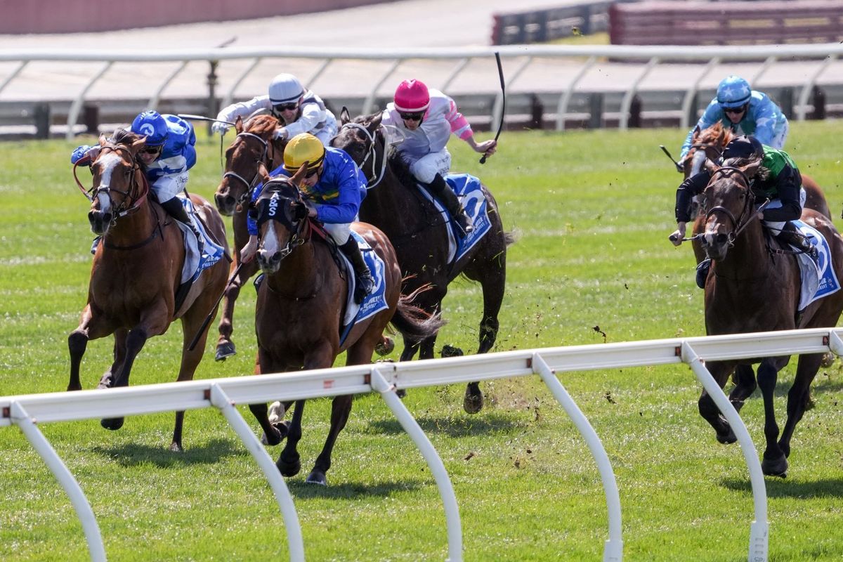 Prix De Turn pitched in Guineas deep-end