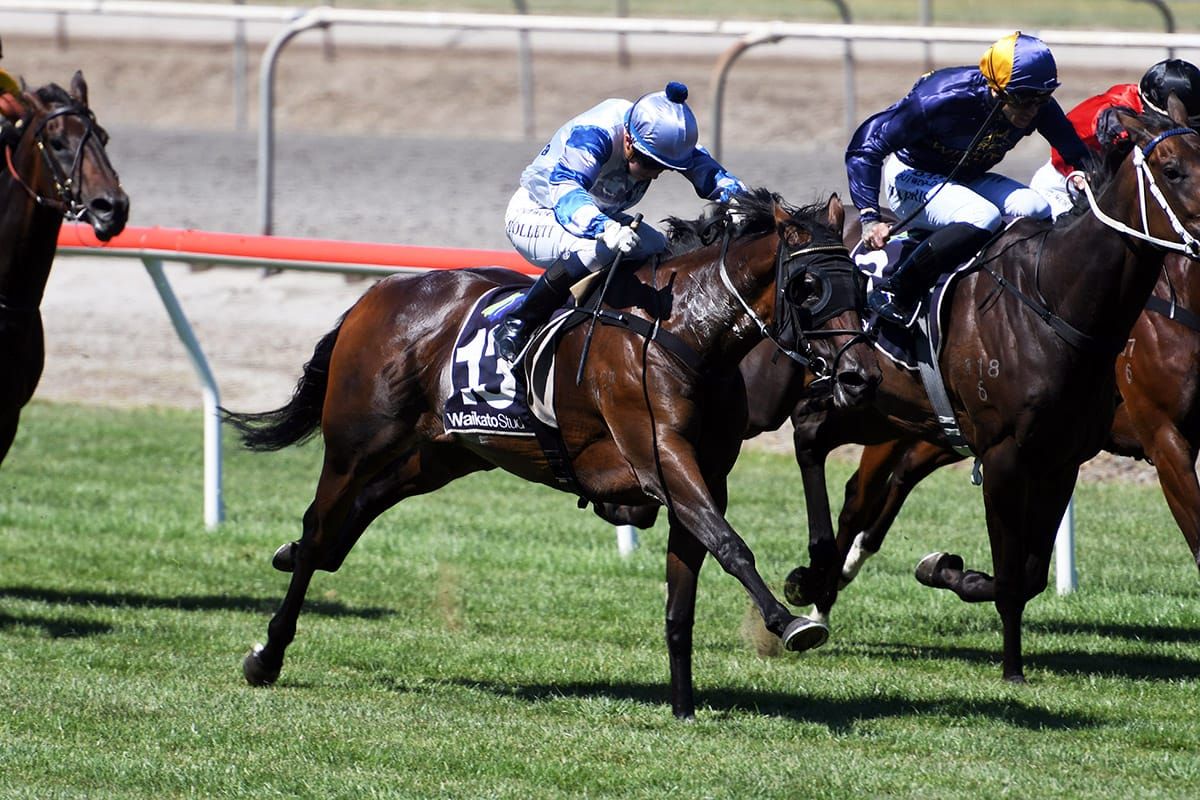 Cole hoping winning run continues