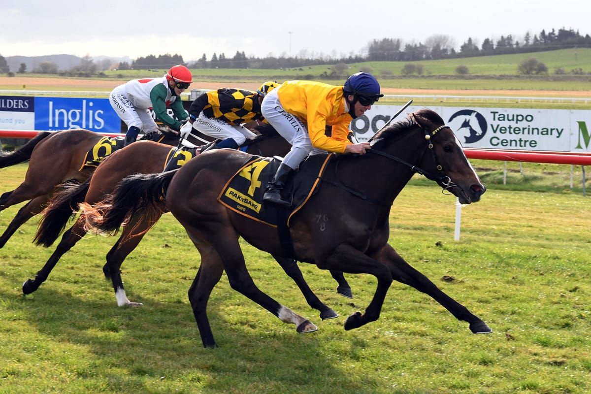 Valachi fillies on trial for 1000 Guineas