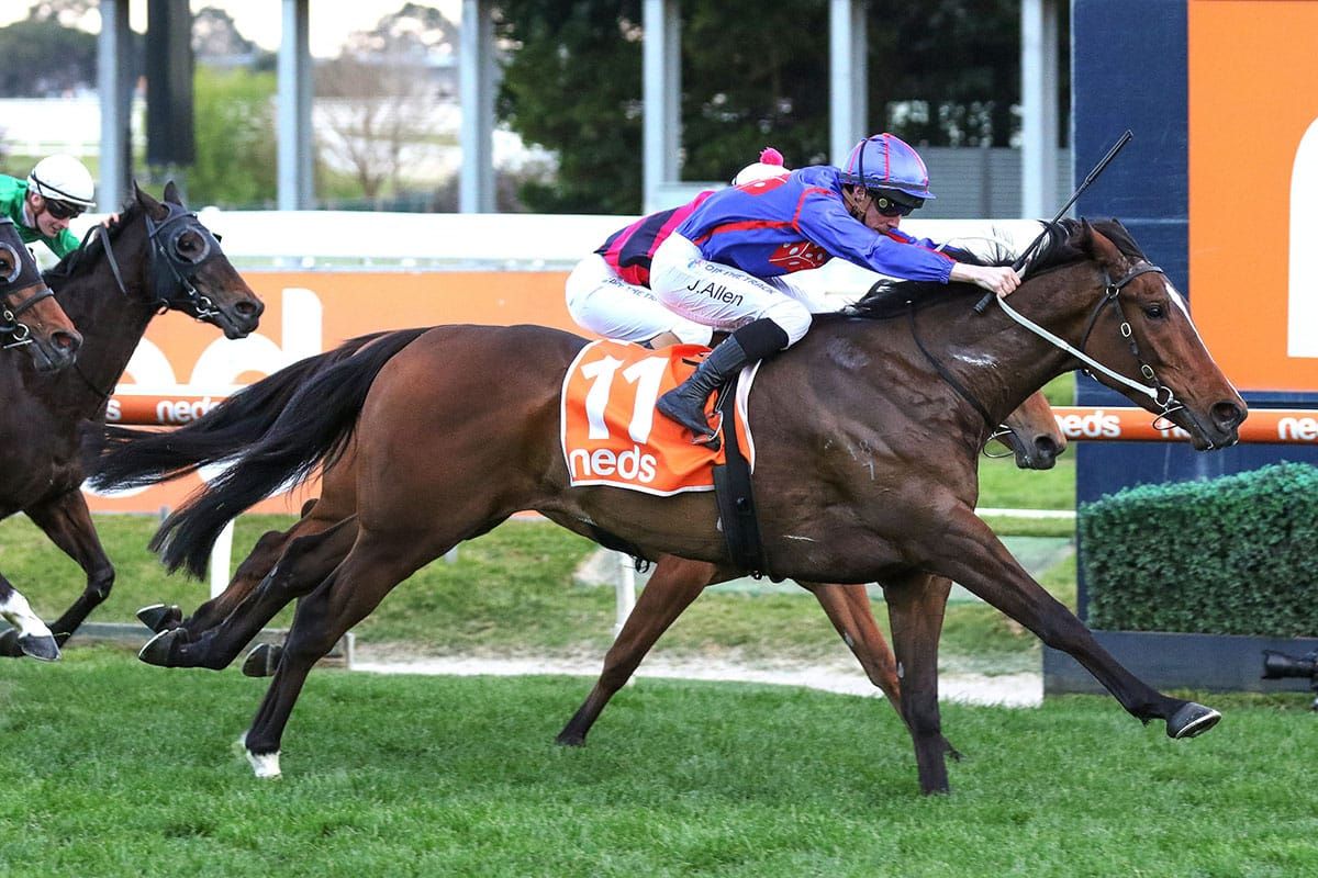 Ayrton's spring campaign in trouble