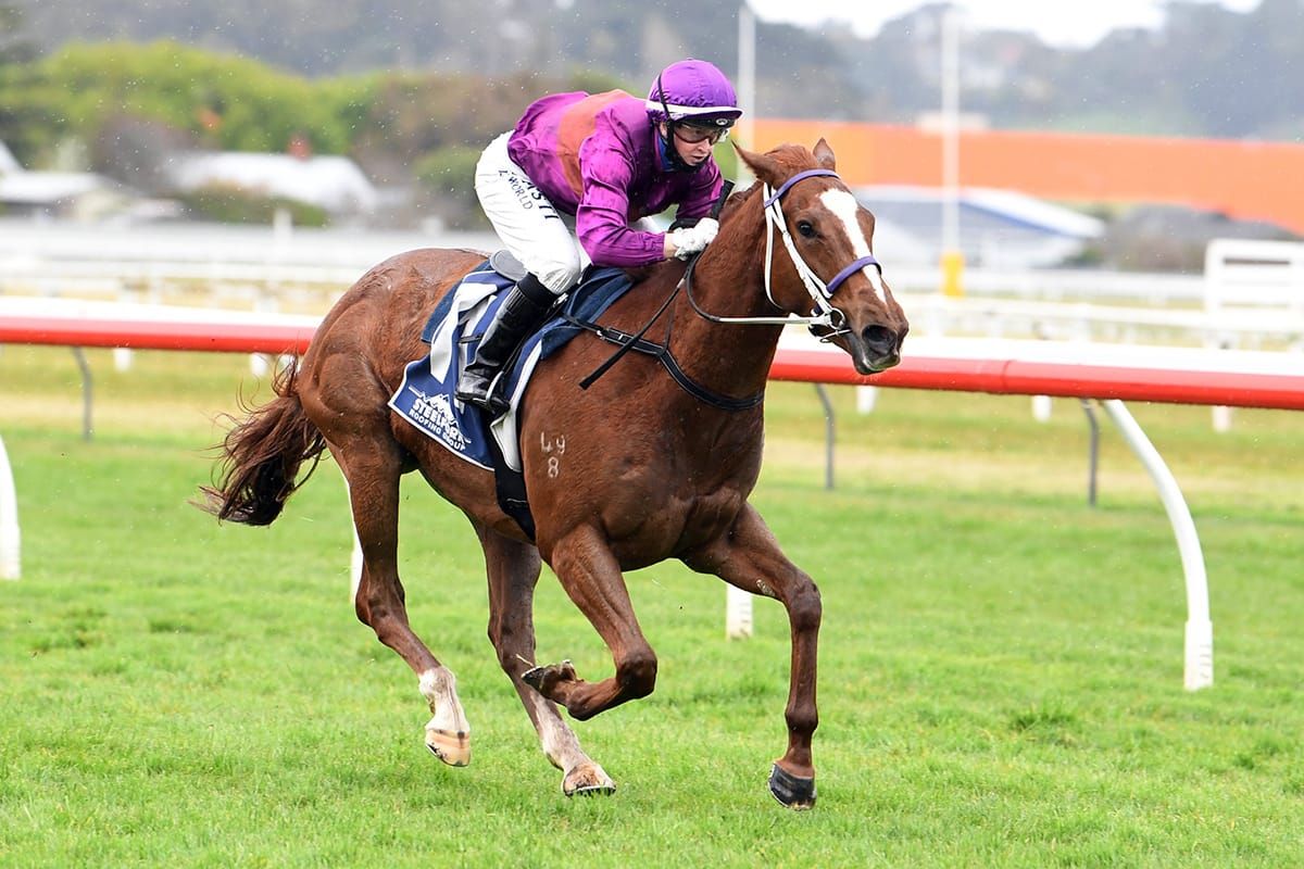 Belardo Boy breaks maiden ranks