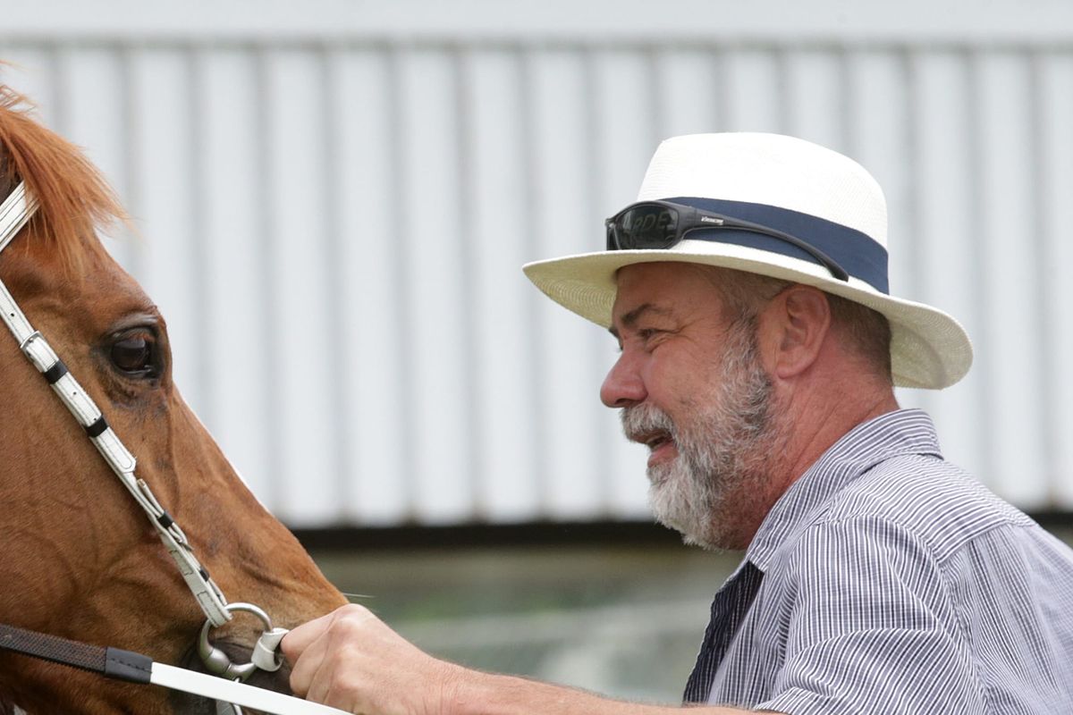 Champion mare helps alleviate Bishara’s lockdown blues