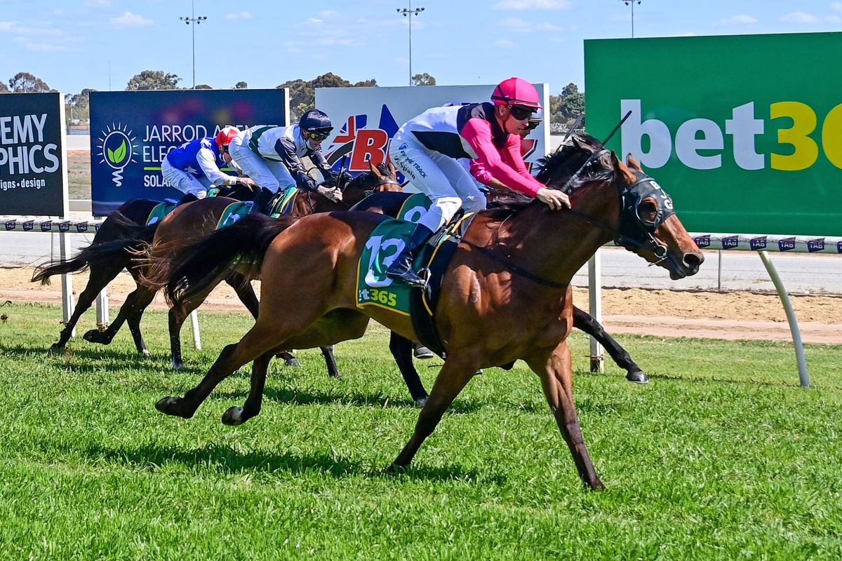 Khan’s Treasure salutes at Swan Hill