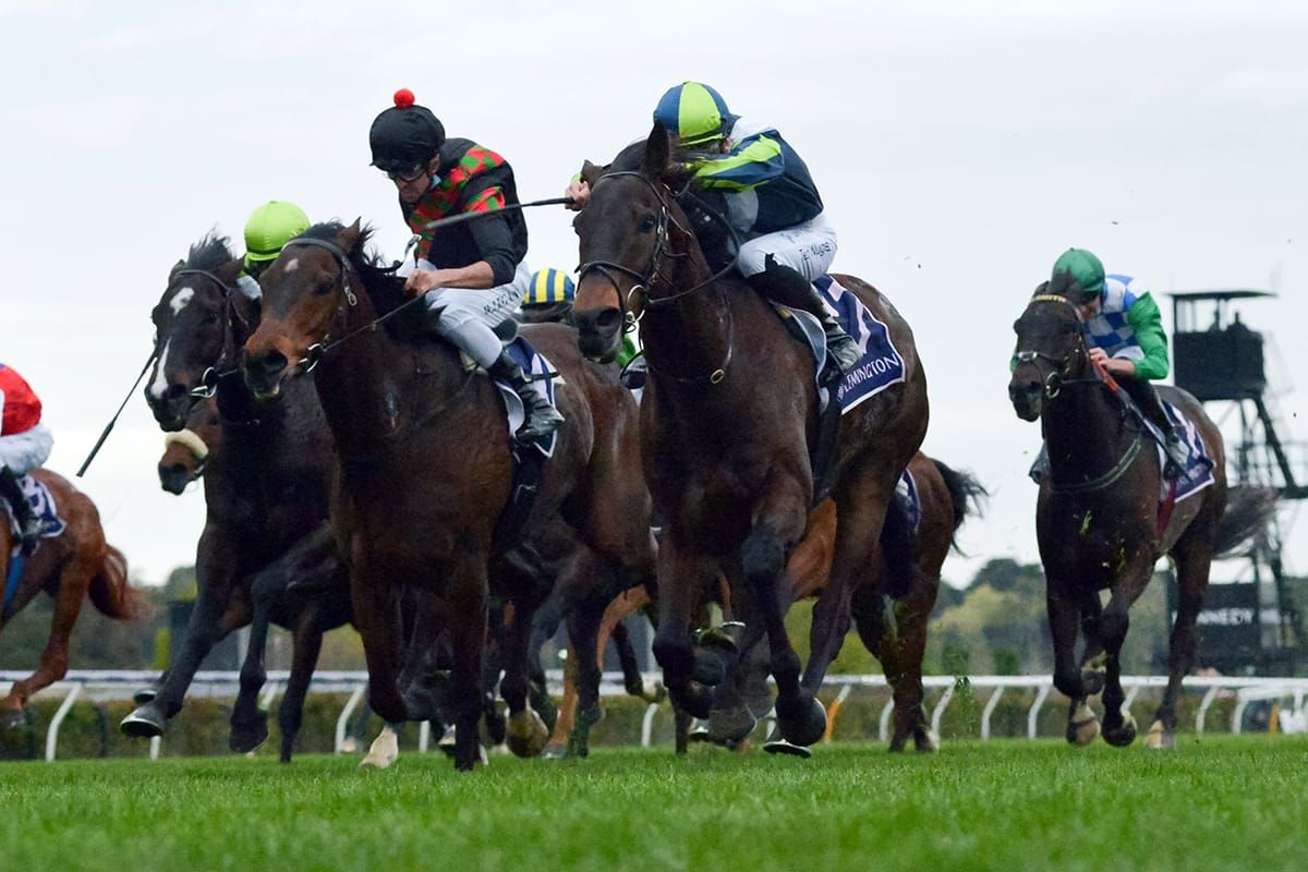 Melbourne Cup aspirations still intact for Defibrillate