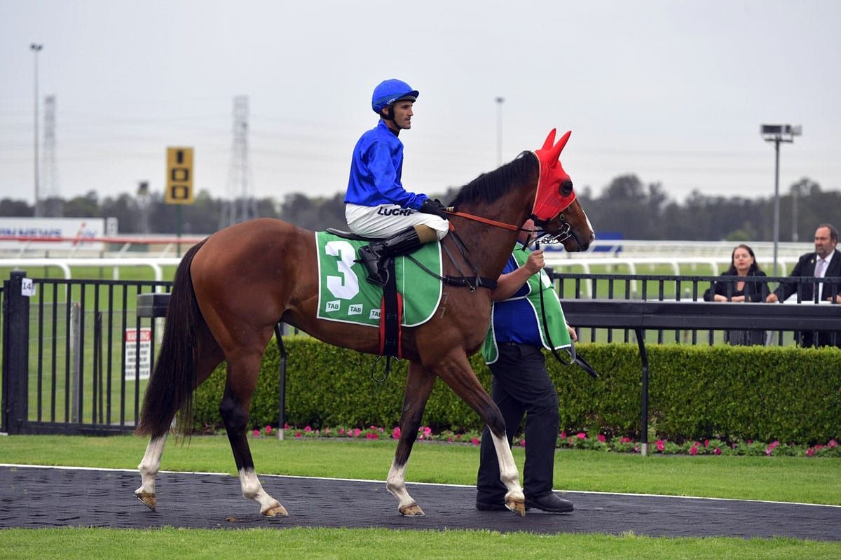 Staying future for son of Contributer