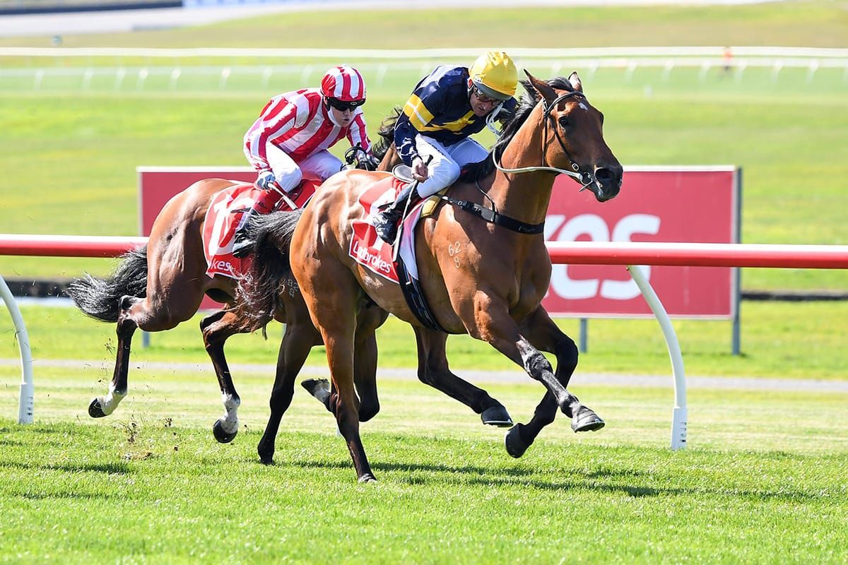 Debut victory for Draft Day