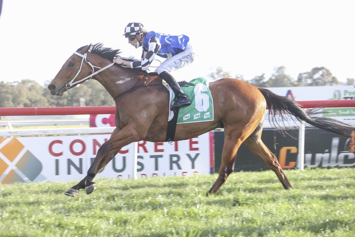 Kiwi galloper chasing big cheque in Kosciuszko