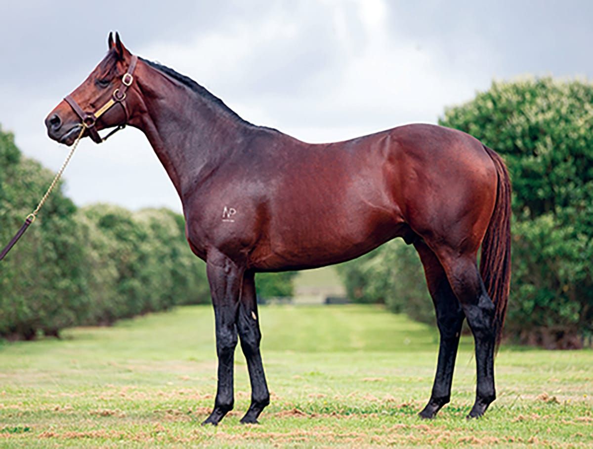 Esta La Roca on song for McEwen Stakes