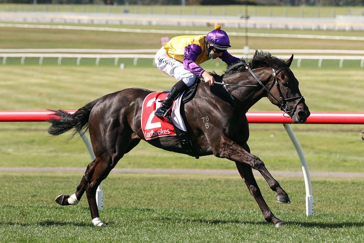 Elephant marches to Sandown Stakes win