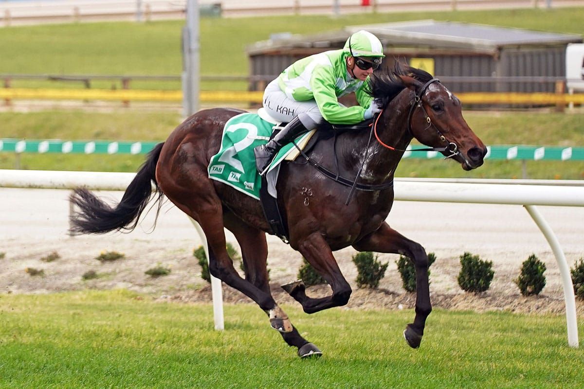 Oaks path possible for promising filly