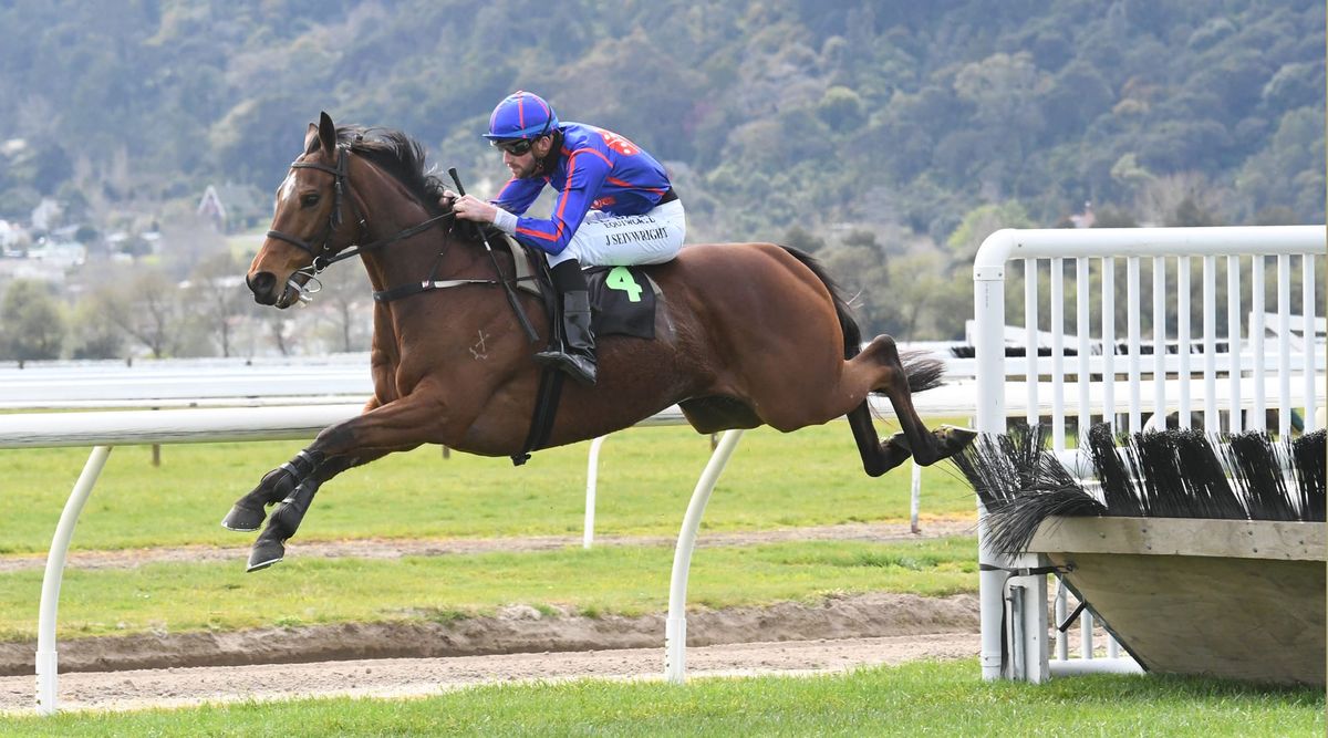 Bright future tipped for English Gambler