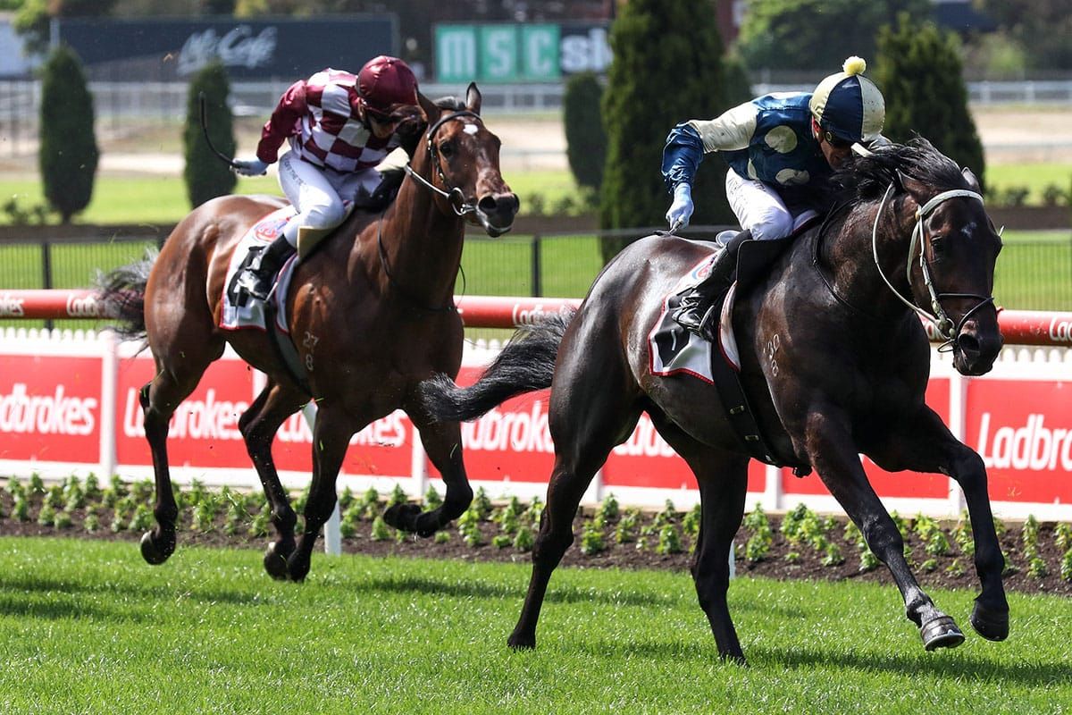 Forgot You something to remember after Valley win