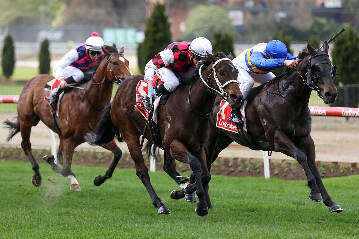 Australian stables keeping options open with Guineas nominations