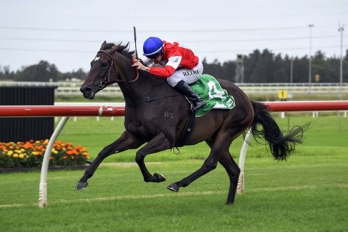 Spring heating up for Icebath