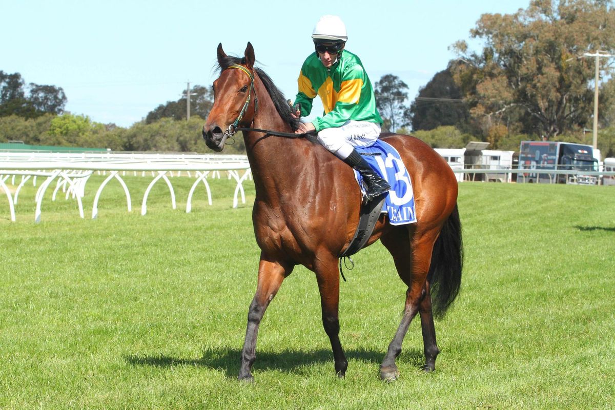 Iffraaj filly off the mark