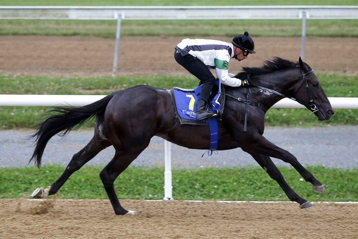 Khufu continues on Guineas campaign