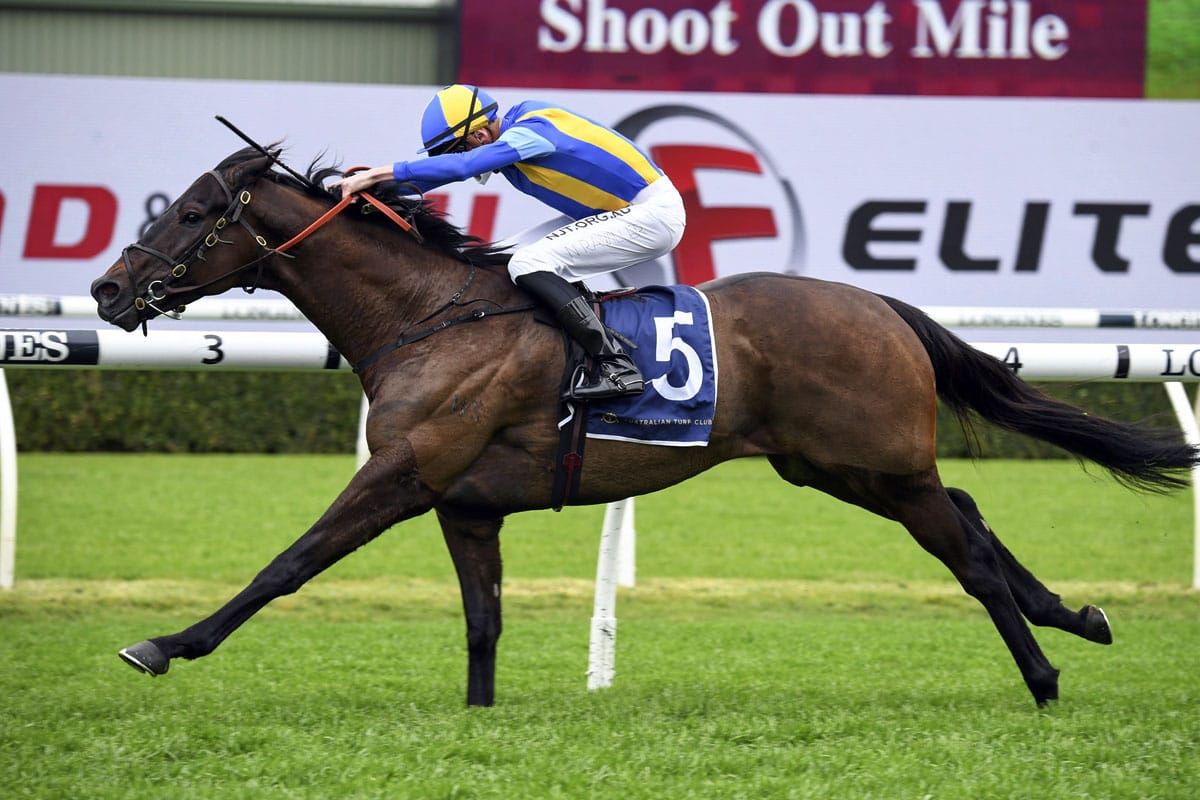 Savabeel trio make impact at Randwick