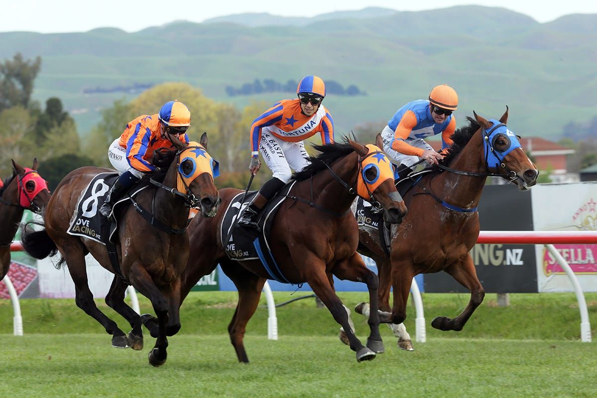 Perfect conditions at Hawke’s Bay